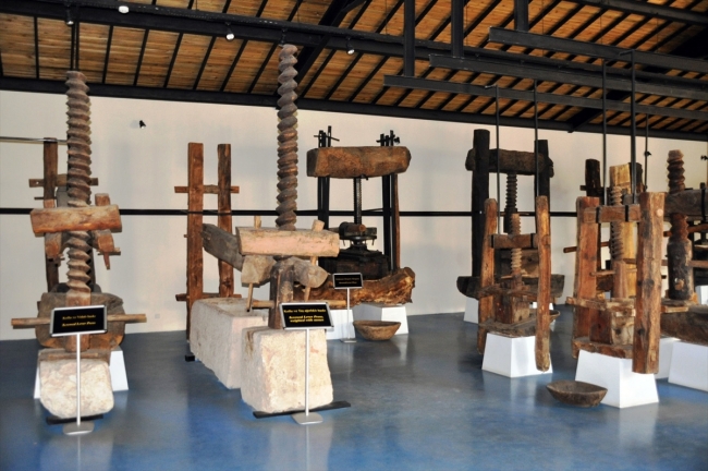 Emekli öğretmen çiftin zeytin merakı müzeye dönüştü